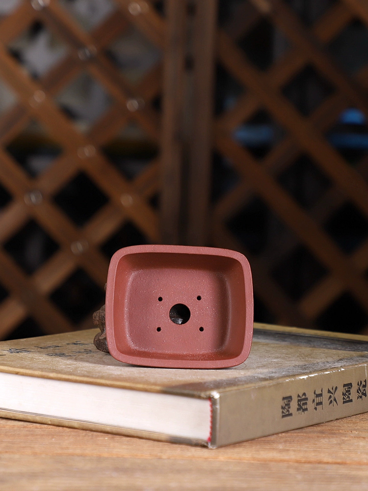 Purple Sand Round Angle Rectan - Bonsai Garden Chinese Garden ulasan dan harga