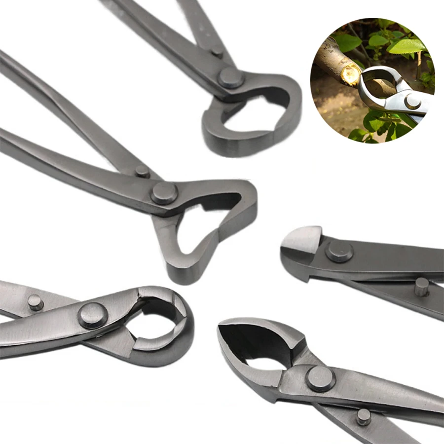 1pcs Stainless Steel Bonsai Pr - Bonsai Tool Set ulasan dan harga