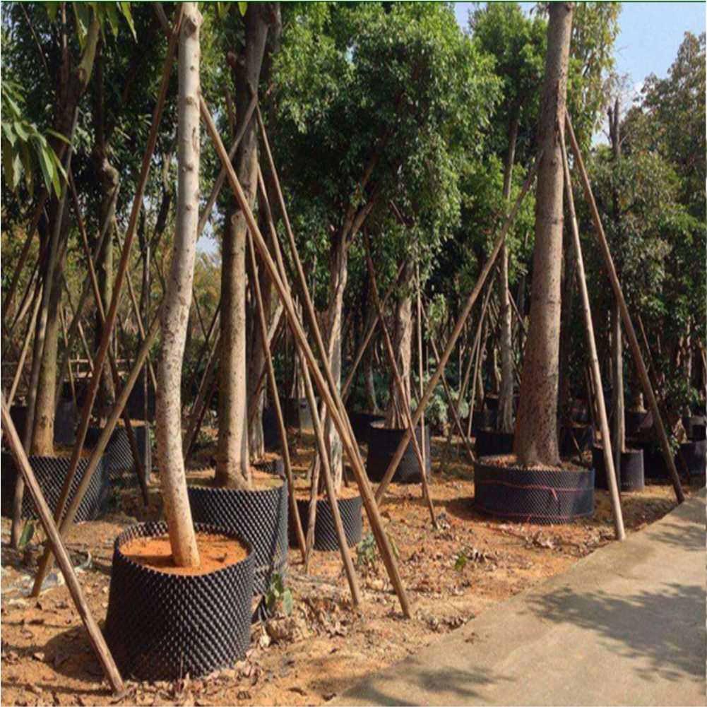 Grow Container Garden Tree Bon - Bonsai Tool Set ulasan dan harga