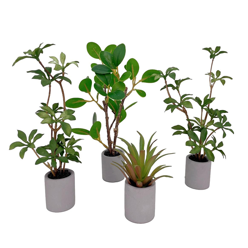 1:6 Dollhouse Miniature Potted - Bonsai Garden Plants ulasan dan harga