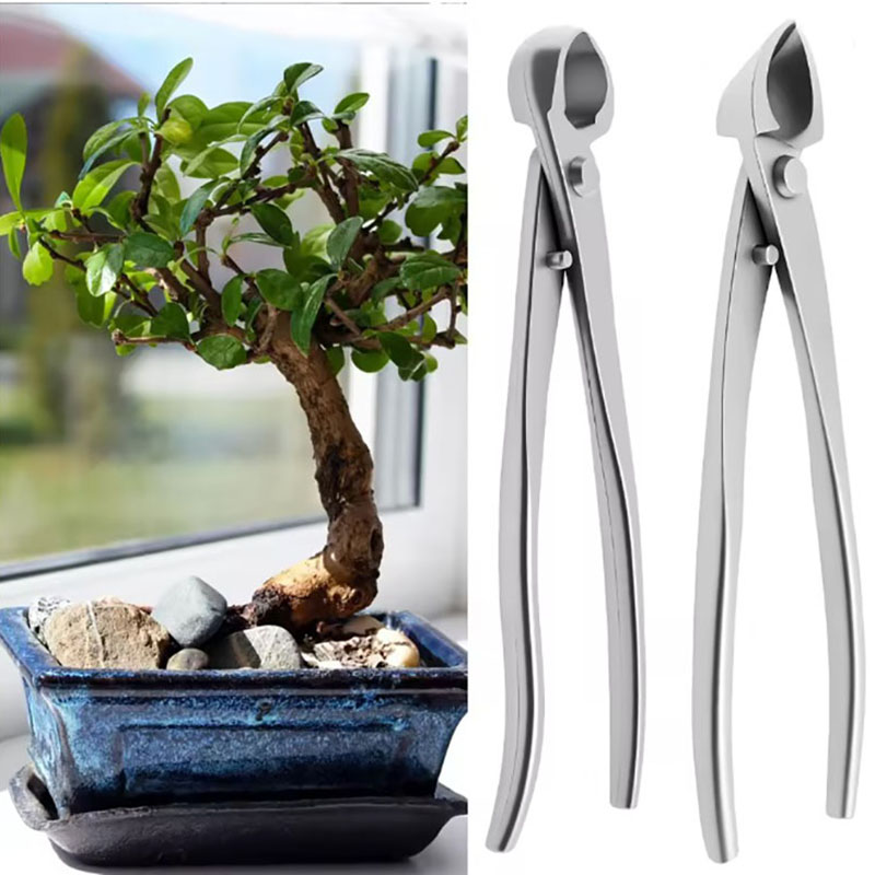 2pcs 210mm Stainless Steel Bon - Bonsai Tool Set ulasan dan harga