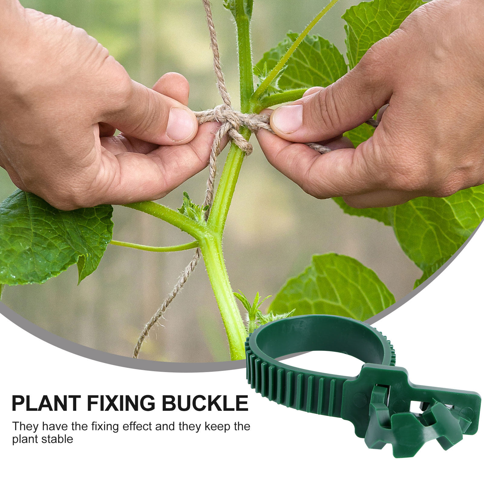 20Pcs Vine Fixing Buckle Garde - Bonsai Garden Plants ulasan dan harga