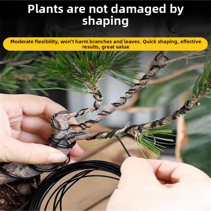 1.5MM Bonsai Wires Aluminum Bo - Bonsai Garden Plants ulasan dan harga
