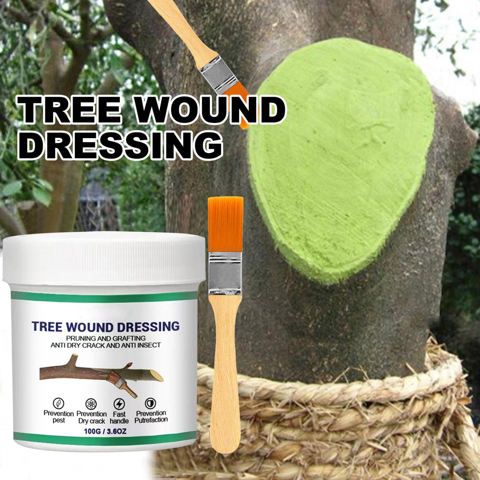 100g Tree Wound Pruning Sealer - Bonsai Garden Plants ulasan dan harga