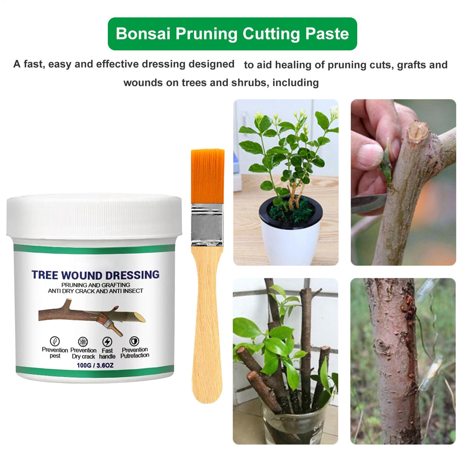 100g Tree Wound Pruning Sealer - Bonsai Garden Plants ulasan dan harga