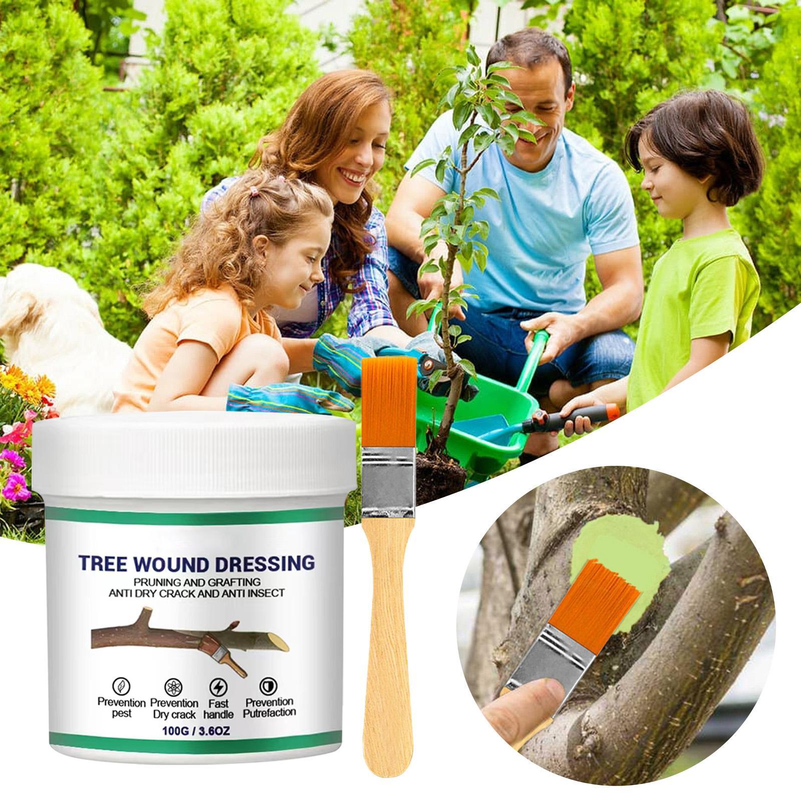 100g Tree Wound Pruning Sealer - Bonsai Garden Plants ulasan dan harga