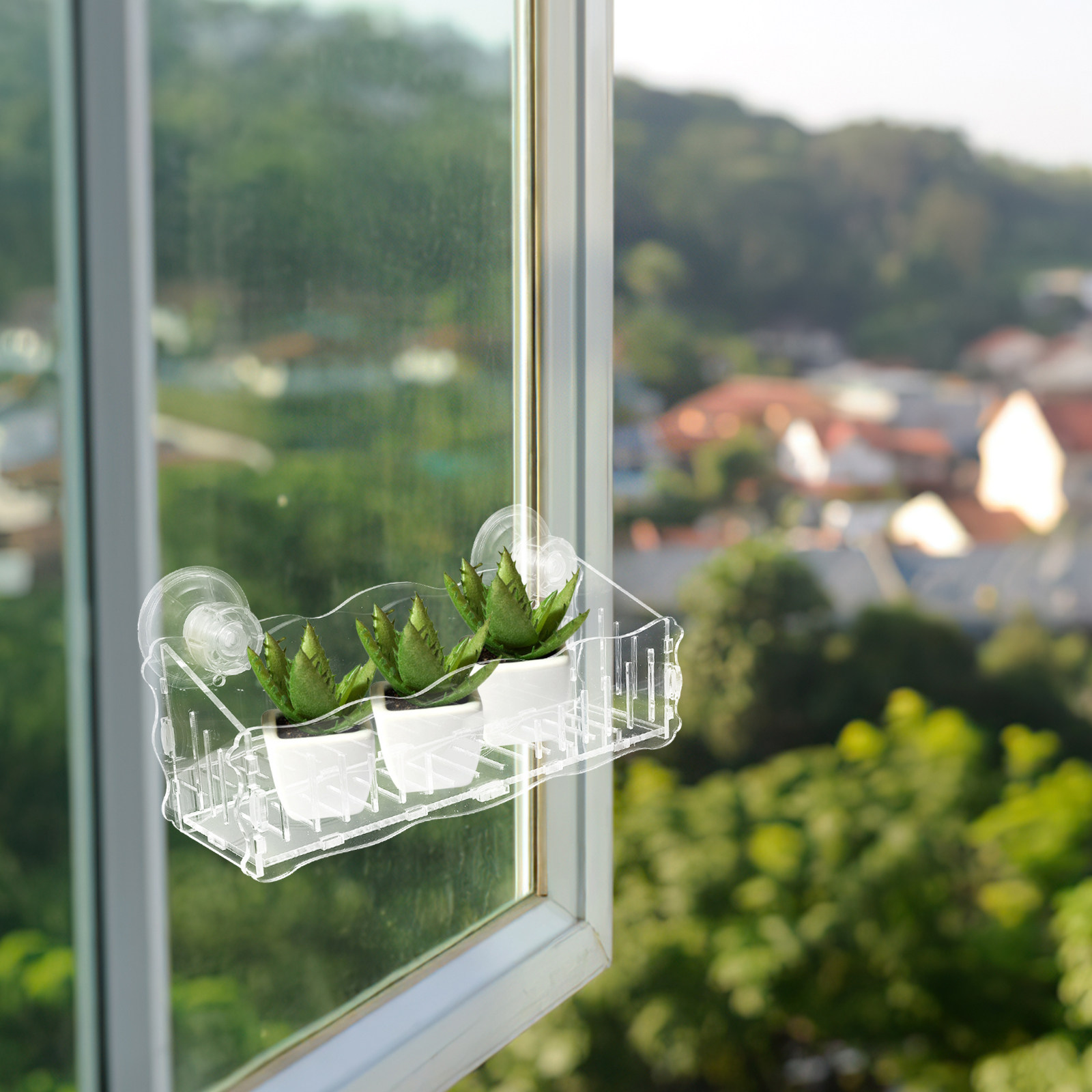 Suction Cup Planter Acrylic Tr - Bonsai Garden Plants ulasan dan harga