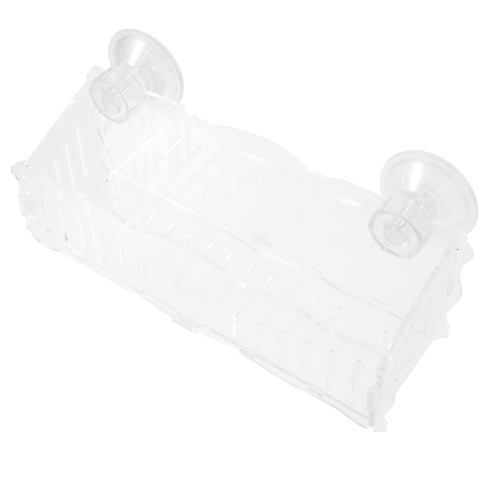 Suction Cup Planter Acrylic Tr - Bonsai Garden Plants ulasan dan harga