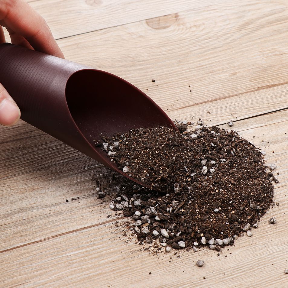 1PC Plastic Soil Shovel Cup Fo - Bonsai Garden Plants ulasan dan harga